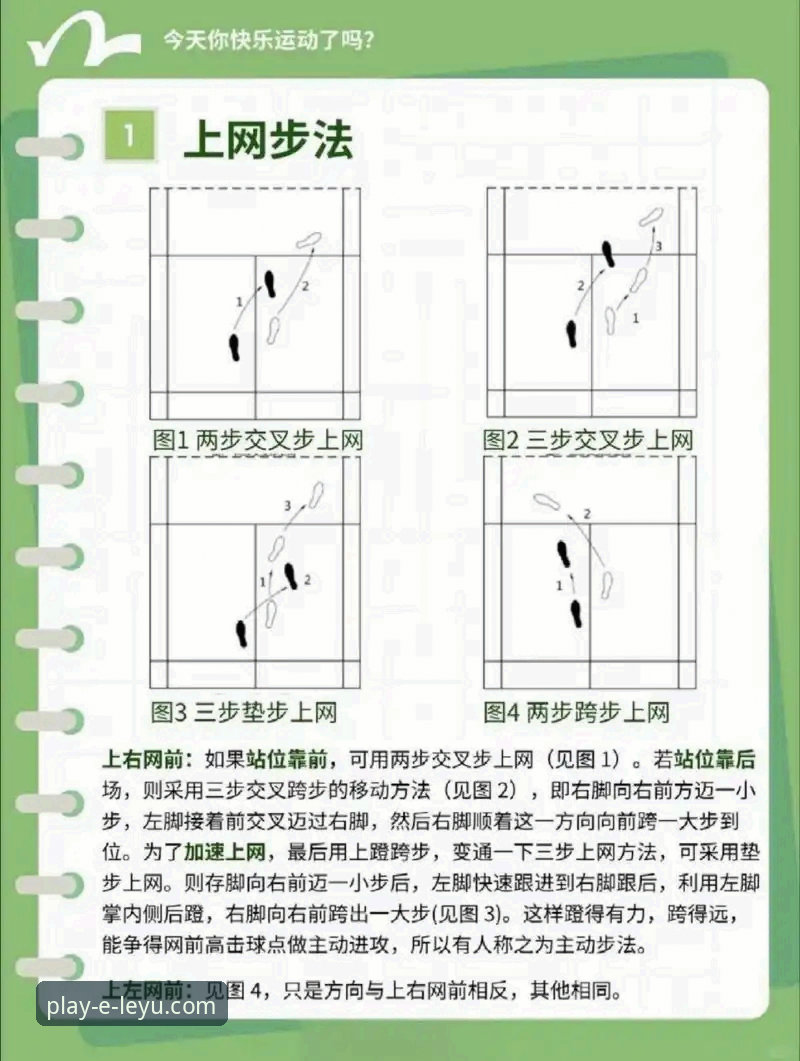 乐鱼体育客户端使用教程：老用户手把手教你玩转体育资讯平台