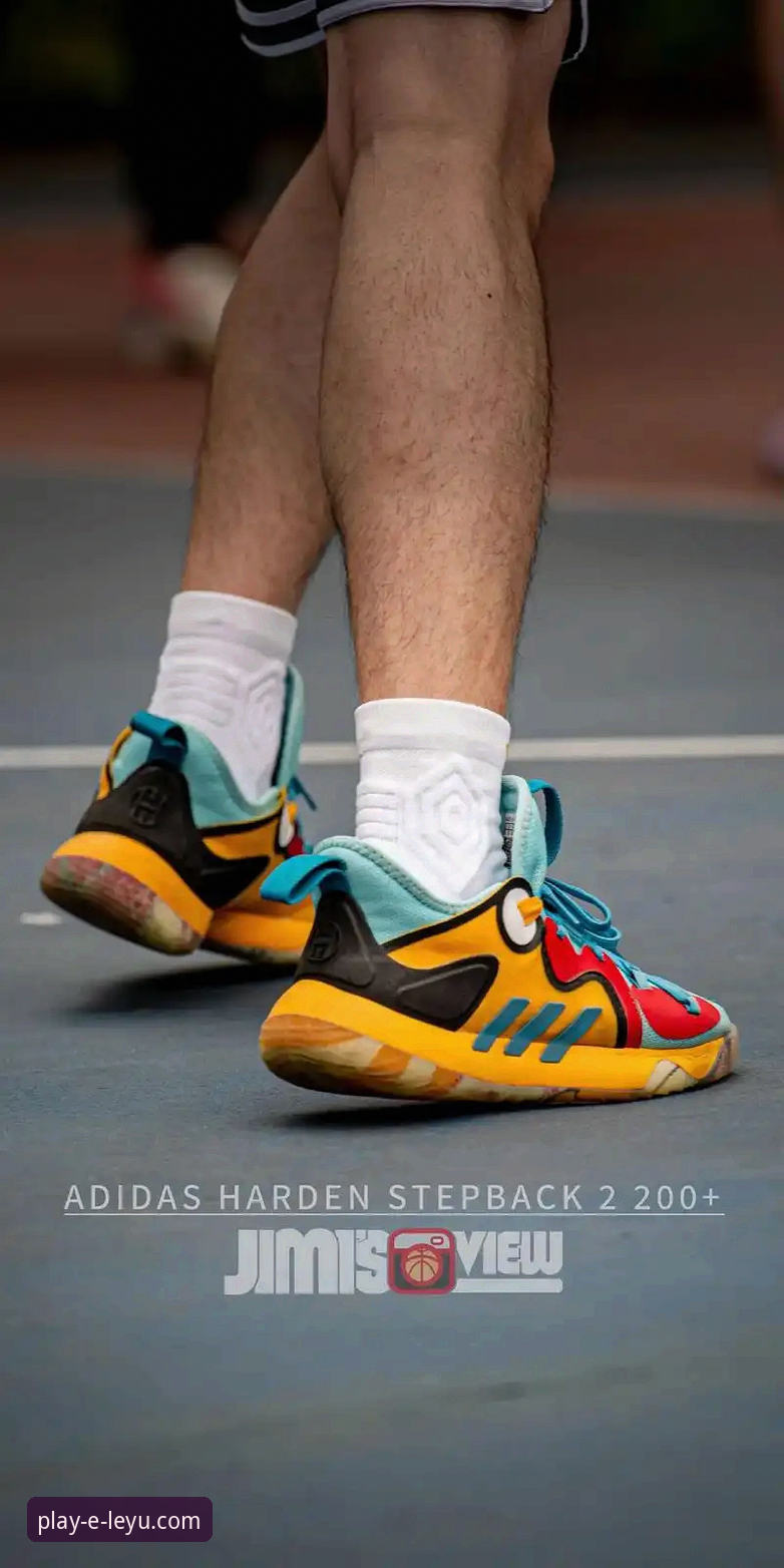 资深体育迷实战分享：乐鱼赛事动态2026最新版本使用心得与高效操作指南